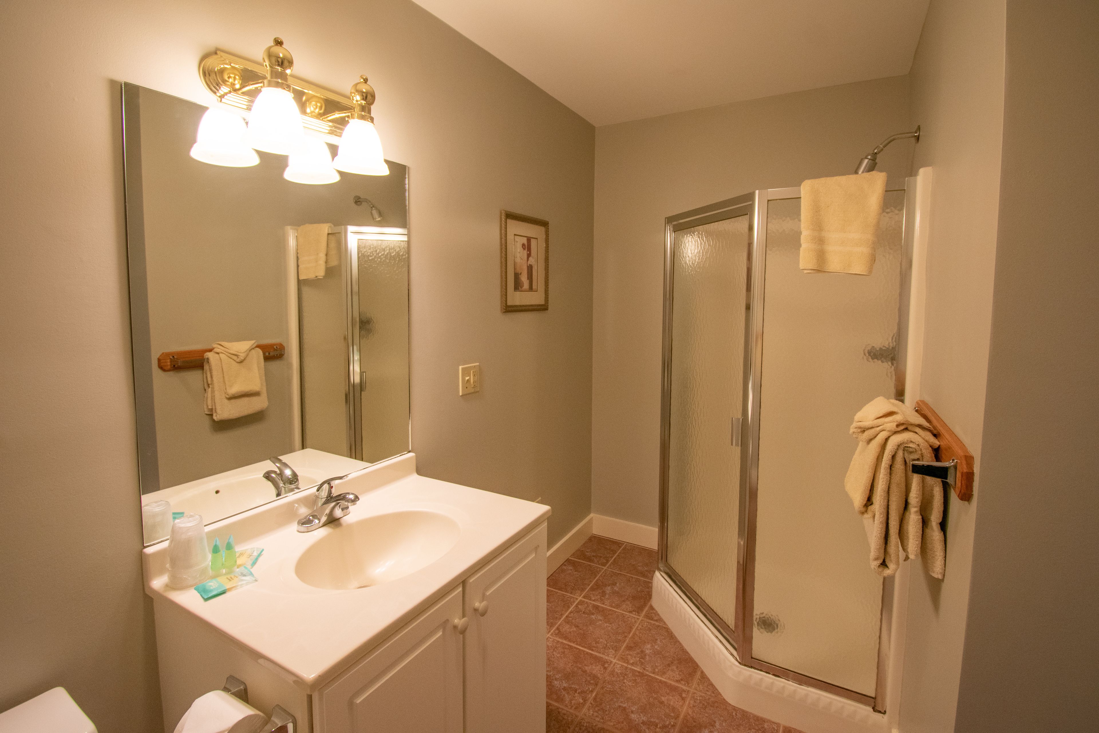 motel room, 1 king bed and queen sleep sofa | bathroom | combined shower/bathtub, free toiletries, hair dryer, towels