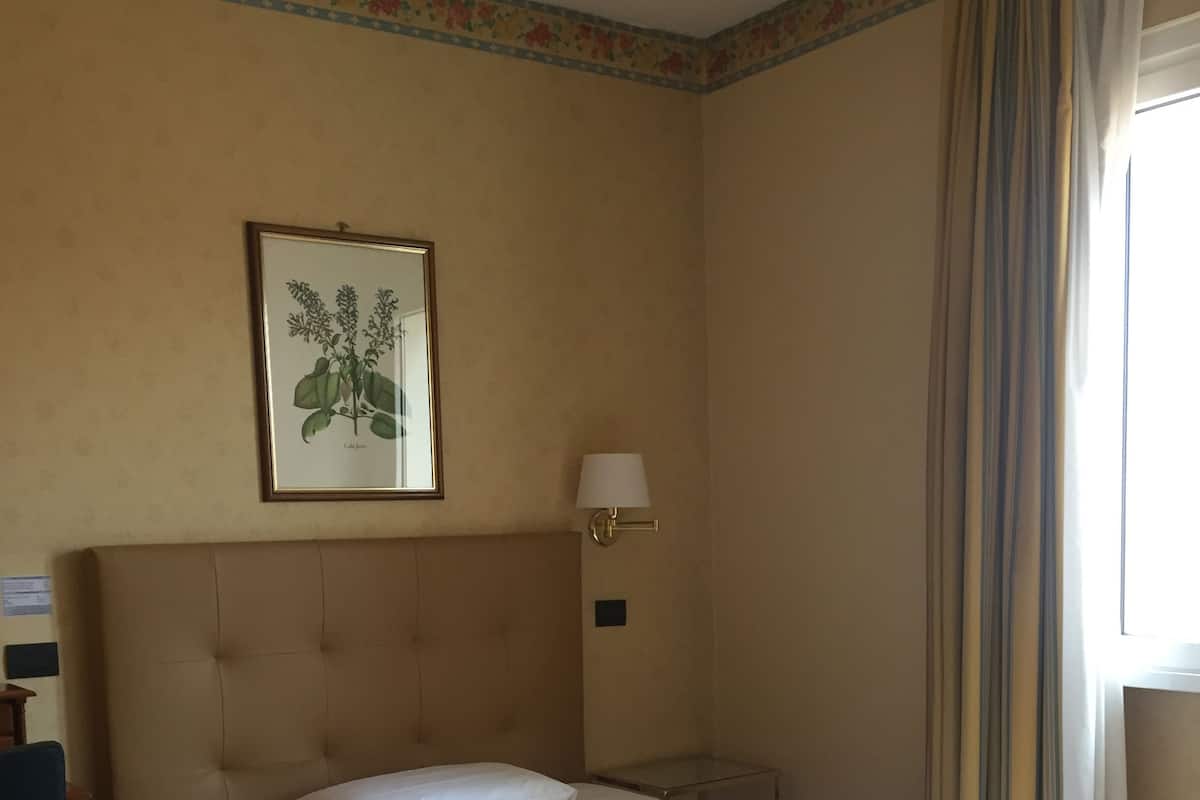 A hotel room with a large bed, a bedside table, a lamp, a framed botanical illustration on the wall, and a window with curtains.