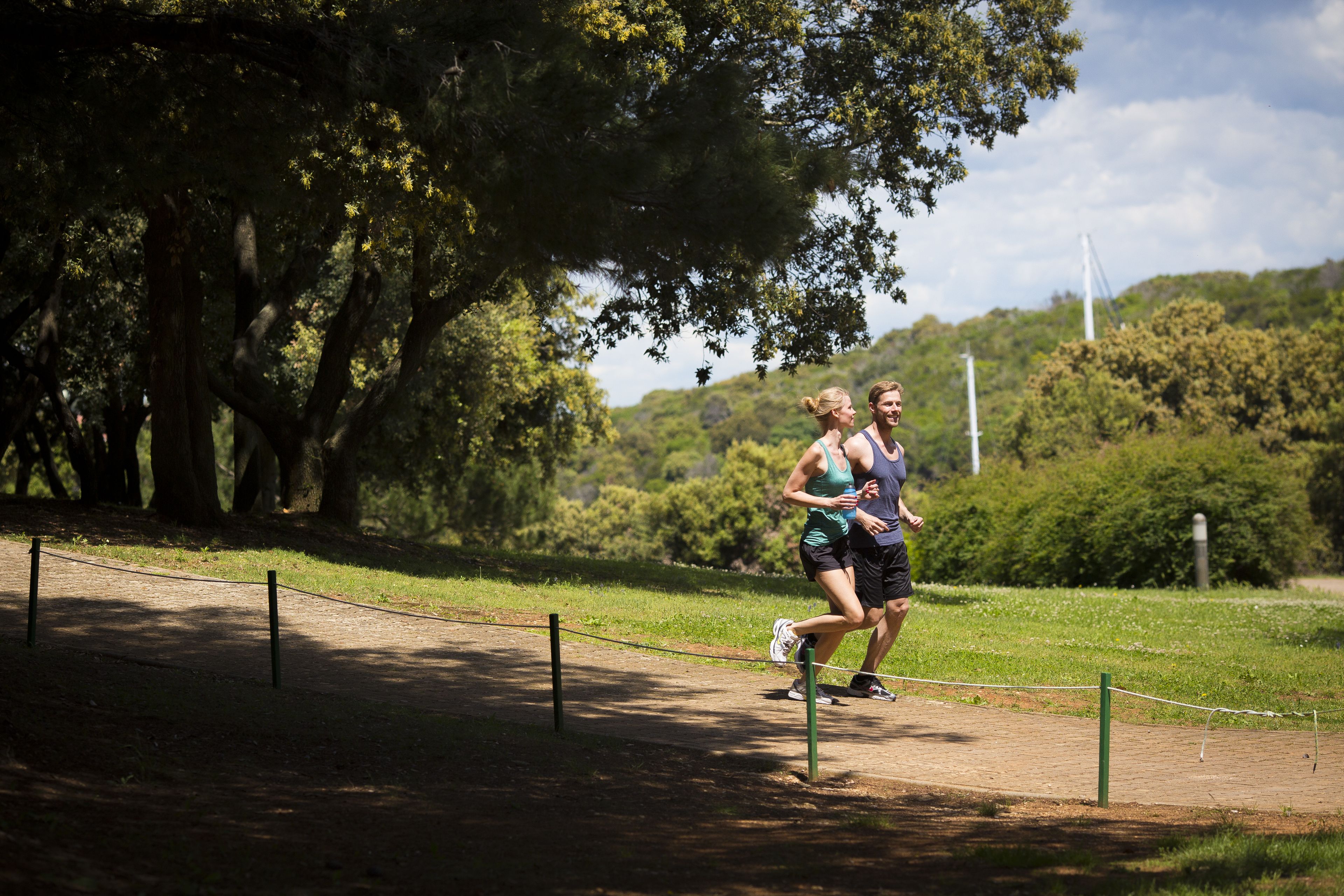 A paved path with a rope barrier, surrounded by trees and greenery.