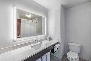 Une salle de bain moderne avec un lavabo blanc, un grand miroir et des toilettes.