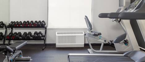 A gym with treadmills, dumbbells, and a bench.