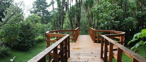 Un puente de madera en un jardín exuberante con follaje denso a ambos lados.