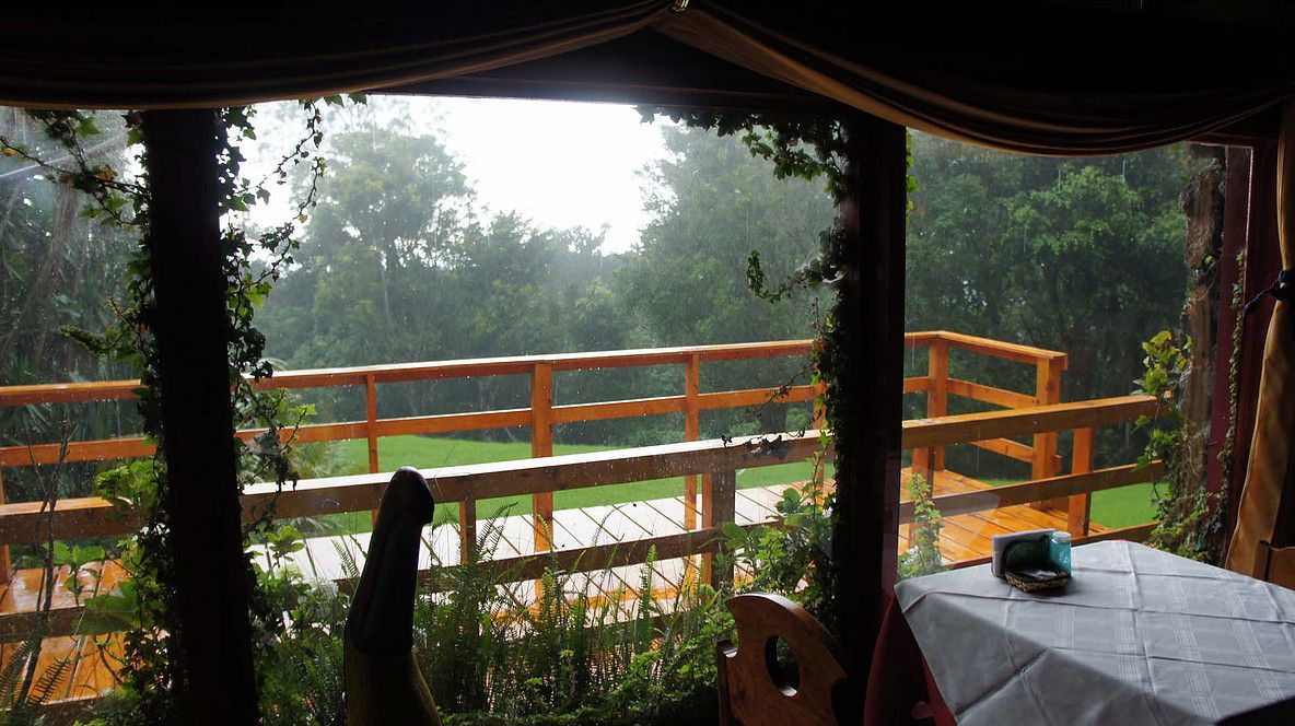 Een houten terras met een tafel en stoelen, omgeven door weelderige begroeiing en uitzicht op een groen veld.