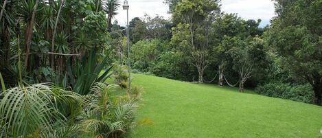 Un jardín exuberante con un césped cuidado y diversas plantas tropicales.