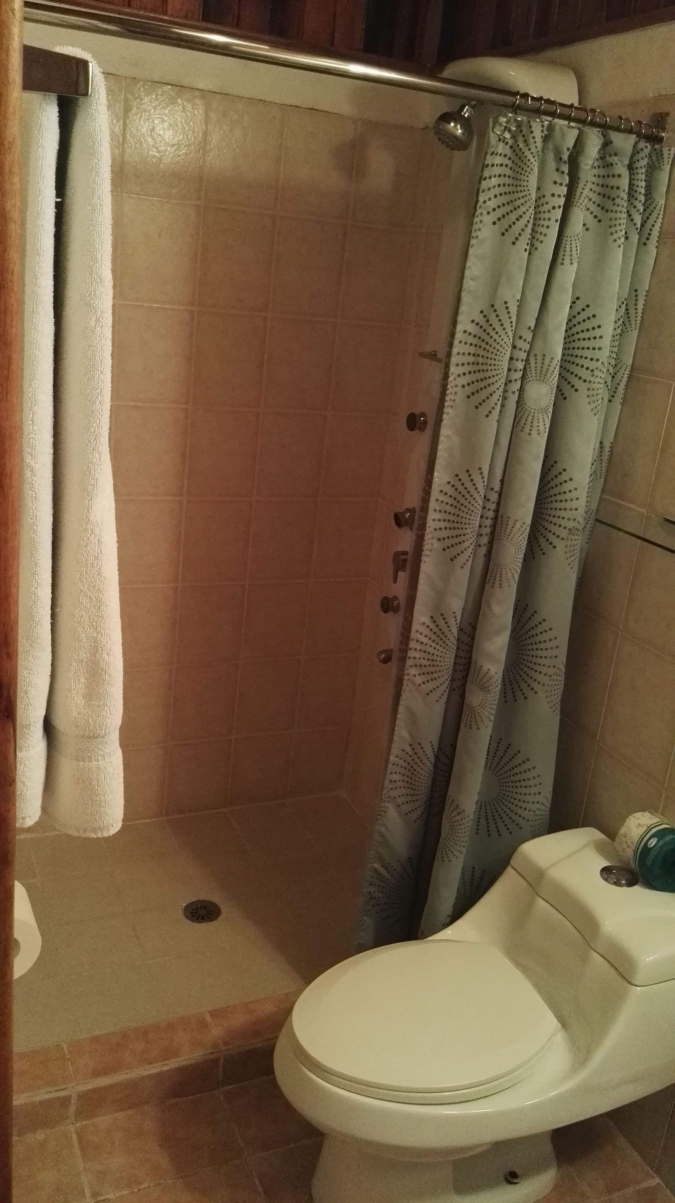 free toiletries, hair dryer, towels