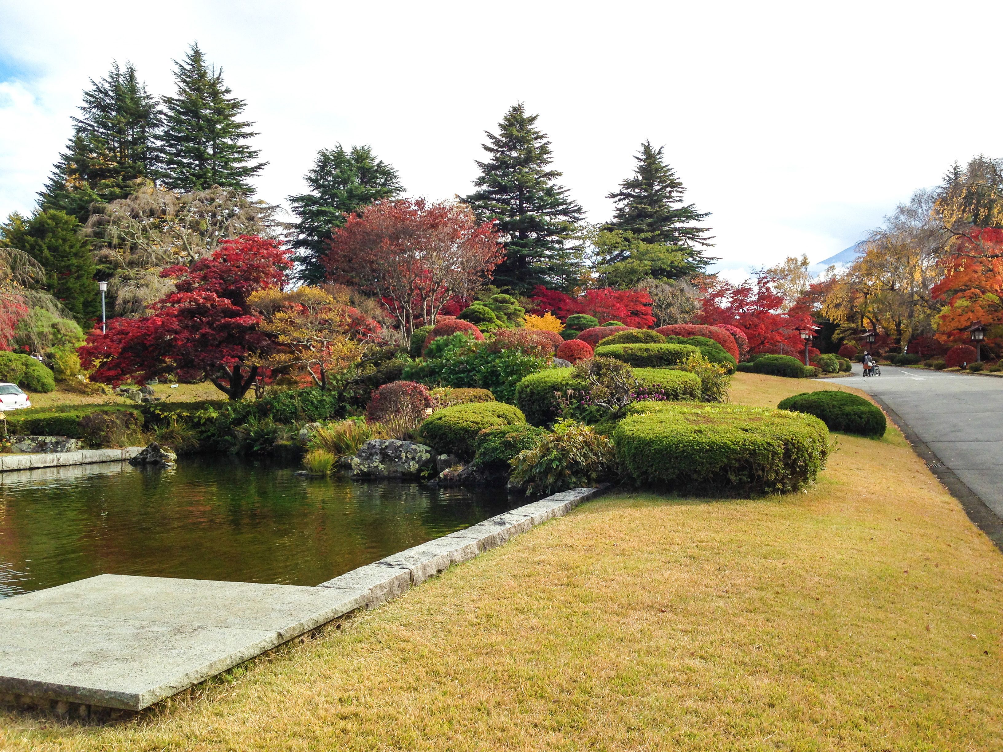 A serene garden with a pond, neatly trimmed hedges, and a variety of trees in autumn colors.