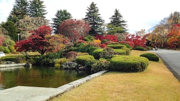 A serene garden with a pond, neatly trimmed hedges, and a variety of trees in autumn colors.