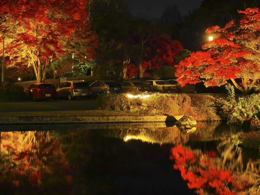 A nighttime parking area with trees reflecting on a calm water surface.