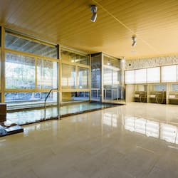 Bồn tắm spa trong nhà