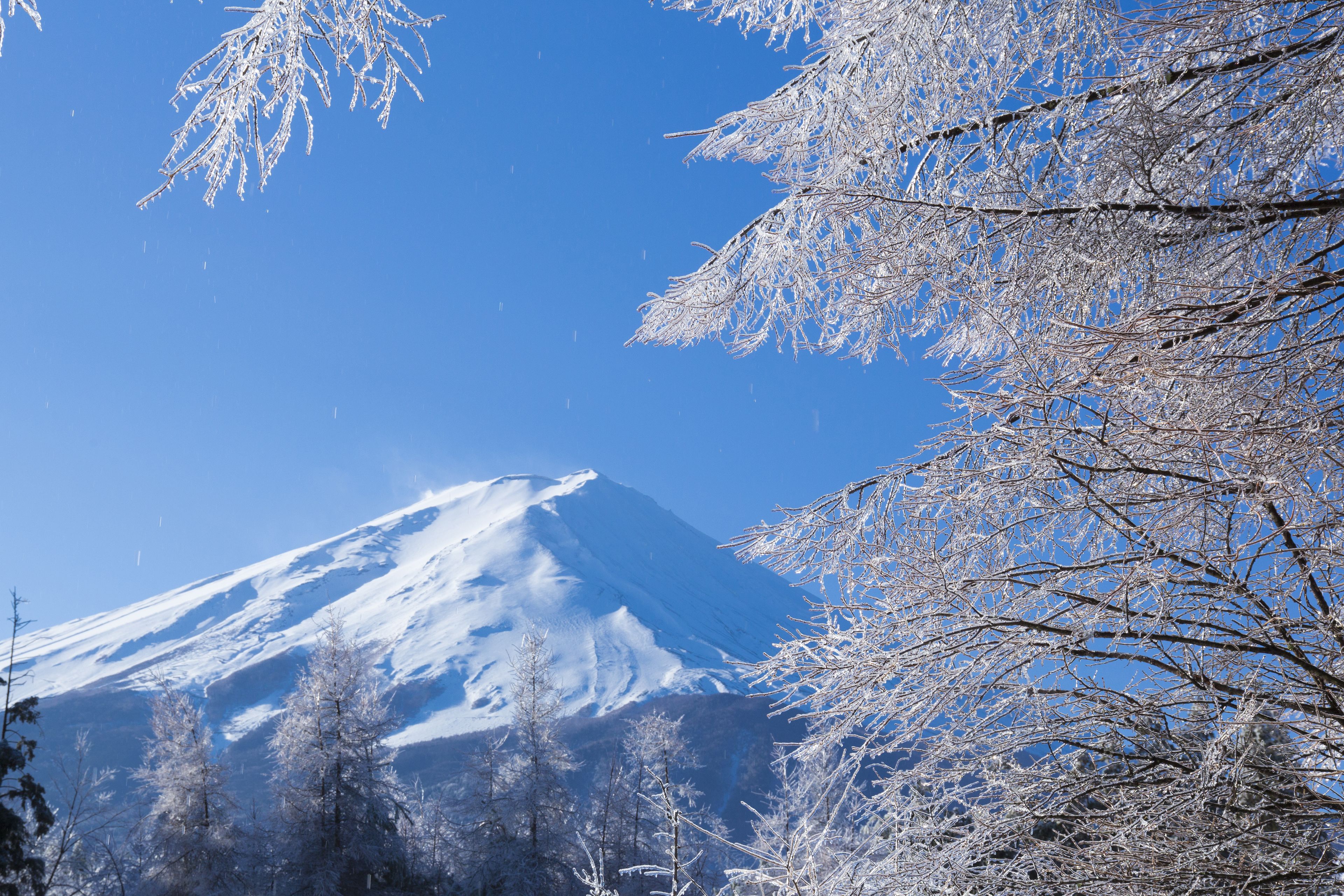 Foto - Fuji View Hotel