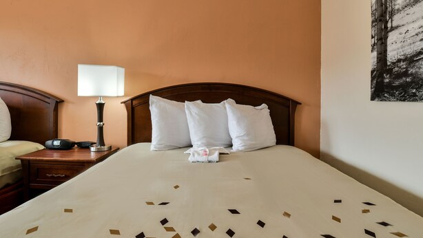 Una habitación de hotel con una cama bien hecha, una mesita de noche con lámpara y un cuadro colgado en la pared.