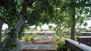 A garden with a variety of plants, a stone wall, and a pergola structure. - Anna Traditional Apartments (Santorini)