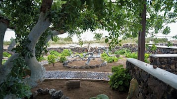 Studio | Terassi/patio