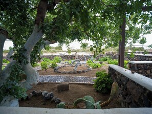 A garden with a stone wall, cactus plants, and a tree with a curved branch. - Anna Traditional Apartments (Santorini)