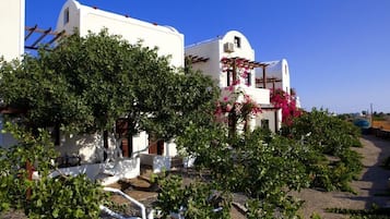Um edifício branco com jardim na frente, rodeado por árvores e arbustos.