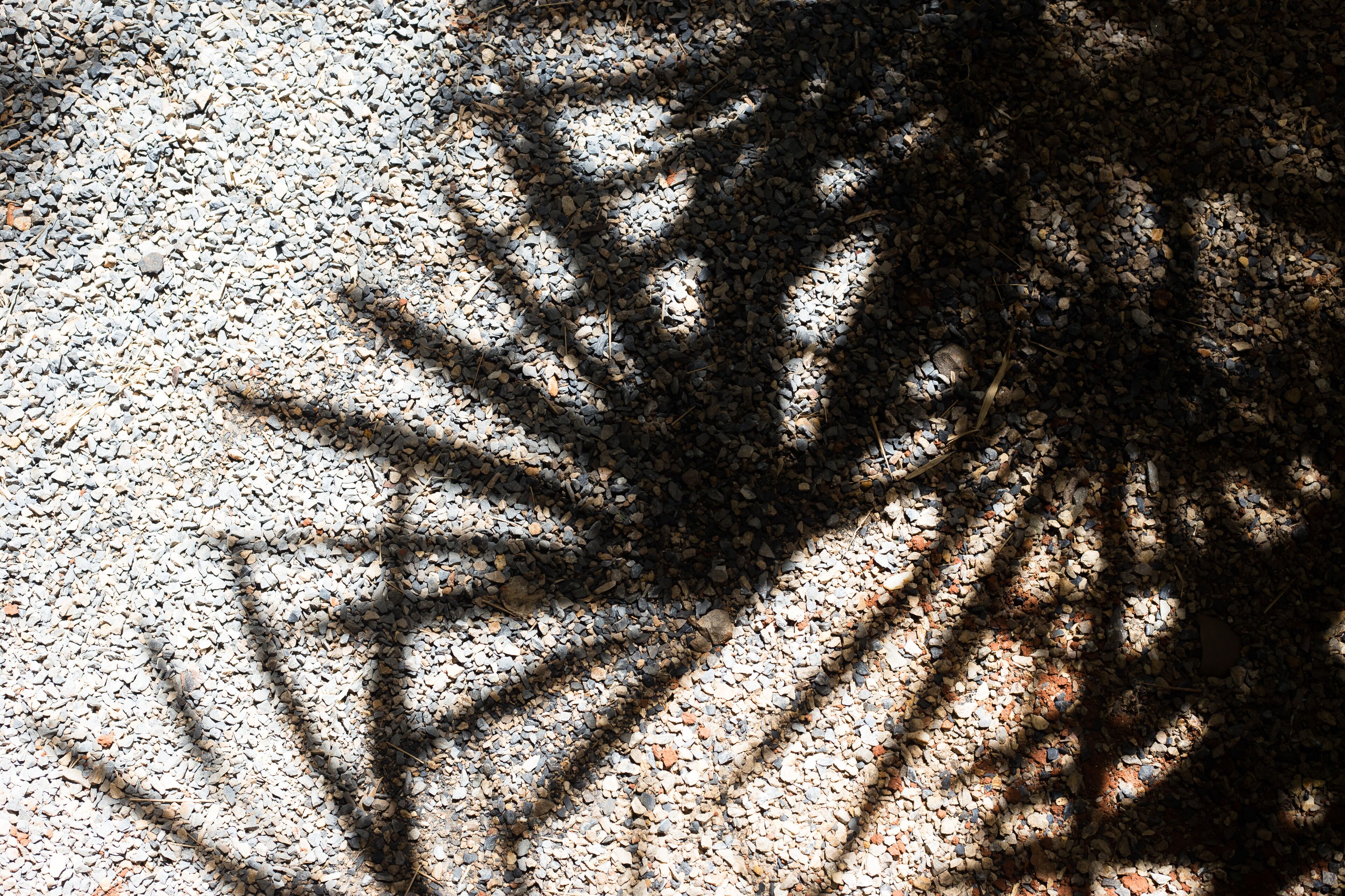 superior family 3 person-free breakfast for child | courtyard view