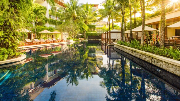 A swimming pool surrounded by palm trees and lounge chairs, with a view of hotel buildings in the background.