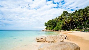 A beach with clear turquoise water, large rocks, and palm trees.