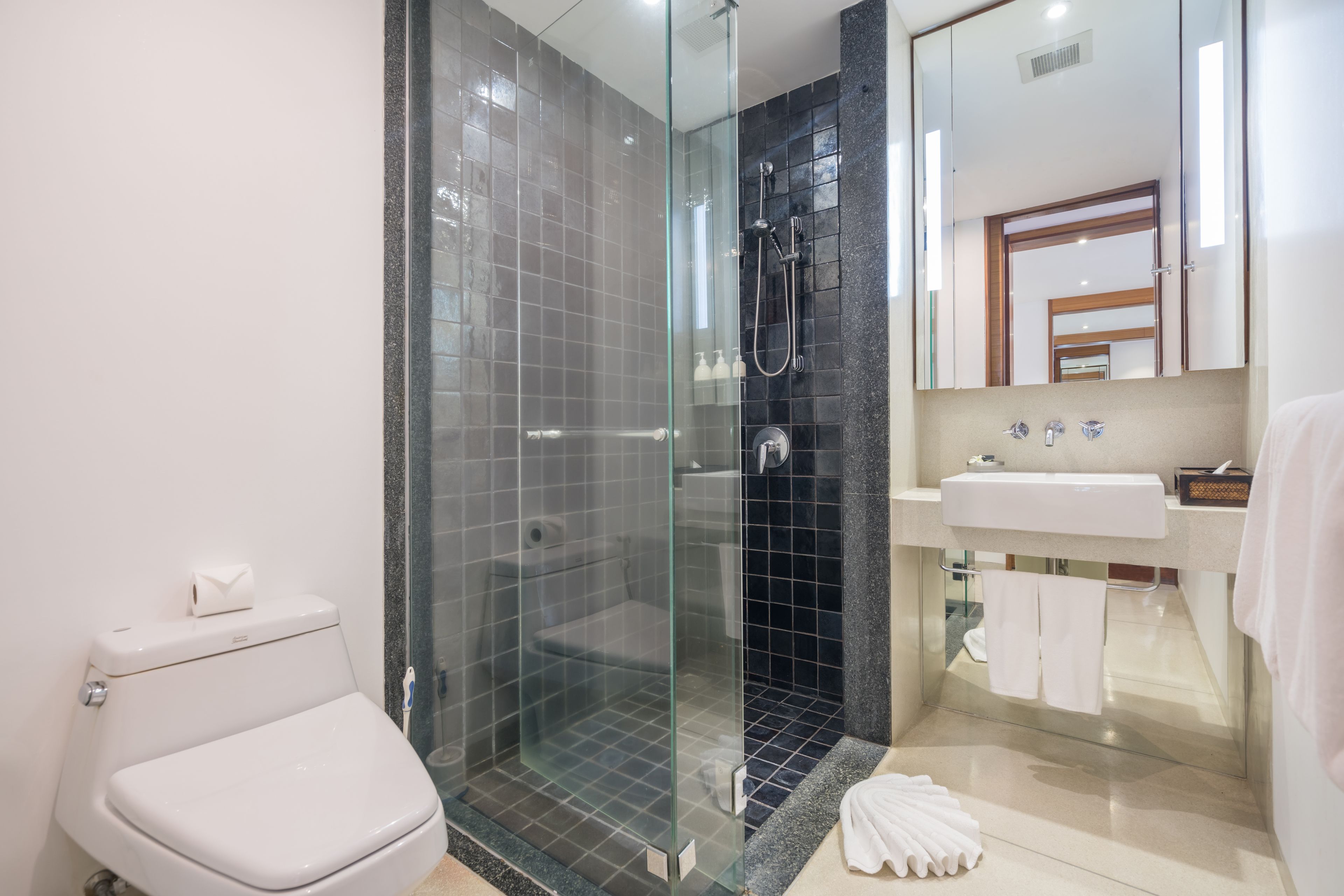 A modern bathroom with a glass-enclosed shower, a white toilet, and a sink with a mirror above it.