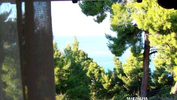 Vista desde la habitación