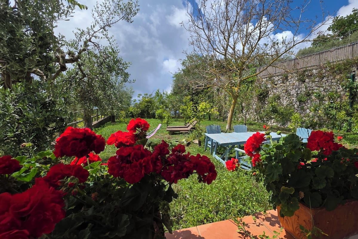 Ein Garten mit roten Blumen, einem Holztisch und Stühlen.