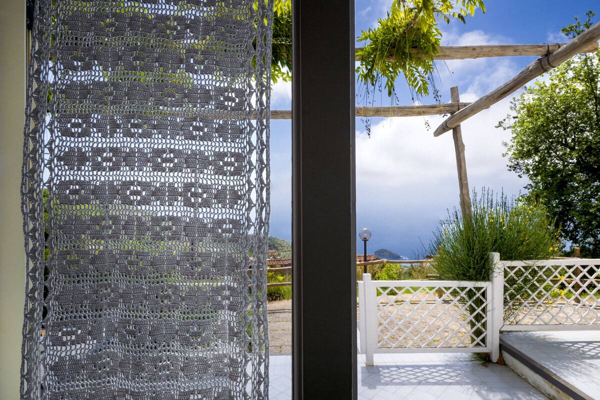 Blick durch ein Fenster auf einen weißen Gitterzaun, eine Holzpergola und einen klaren Himmel.