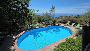 Outdoor pool, pool loungers