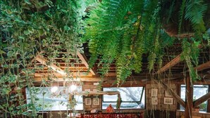 Un jardín interior con diversas plantas y una mesa de madera mostrando comida.