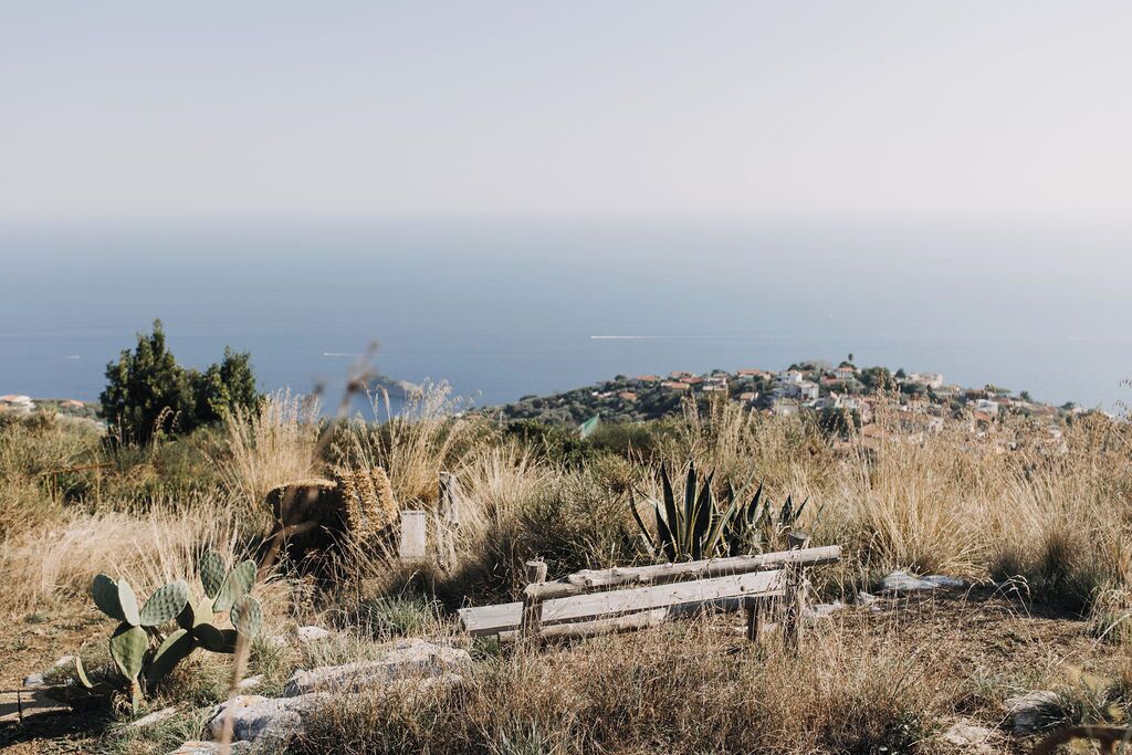 A coastal landscape with a wooden bench, dry vegetation, and a distant view of a town by the sea.
