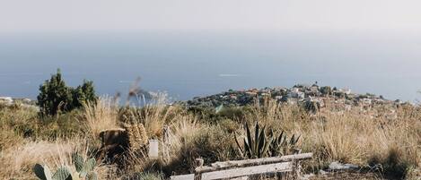 A coastal landscape with a wooden bench, dry vegetation, and a distant view of a town by the sea.