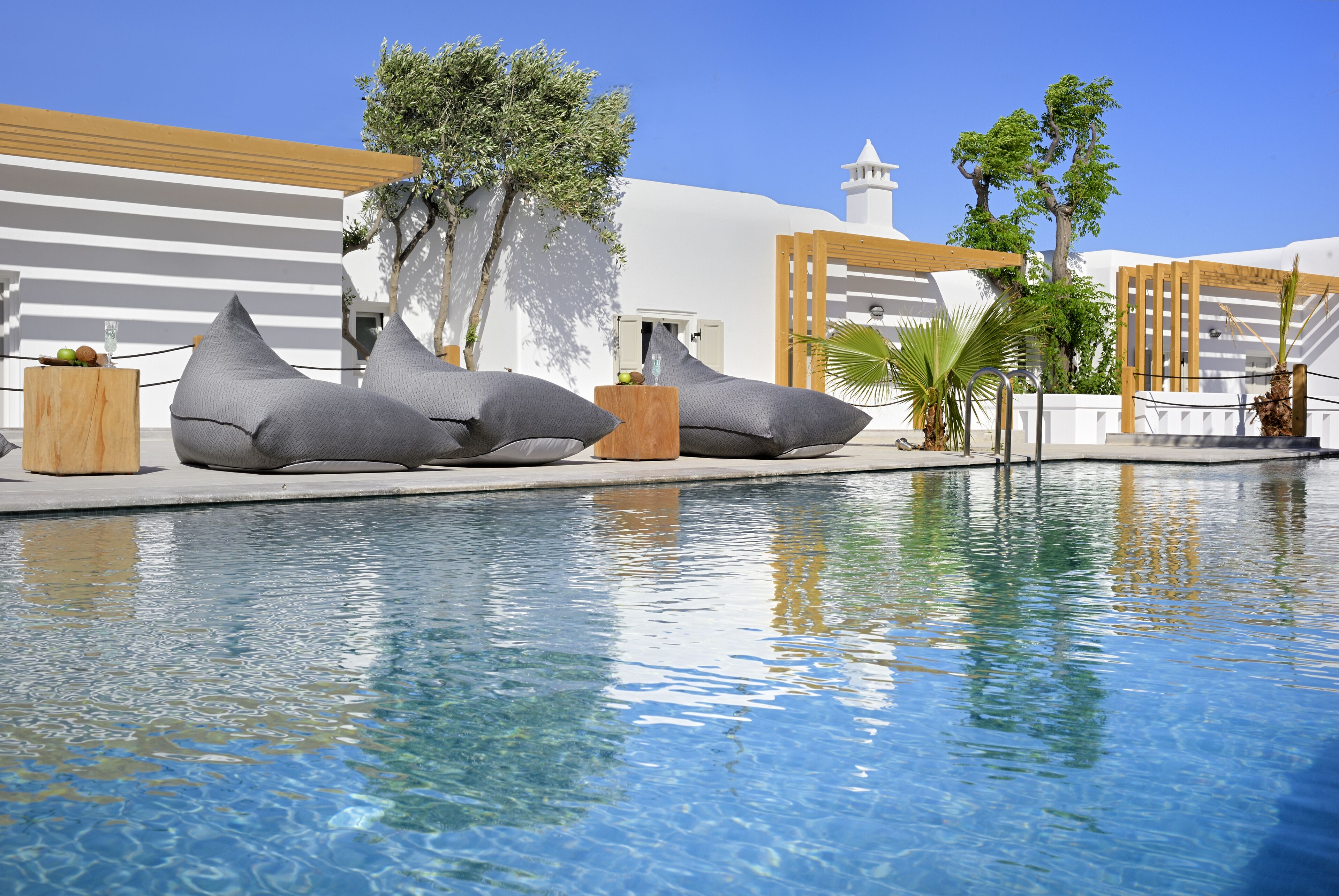 A pool area with lounge chairs and a palm tree.