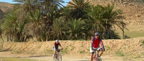 Two cyclists on a dirt path with palm trees and a rocky hill in the background.