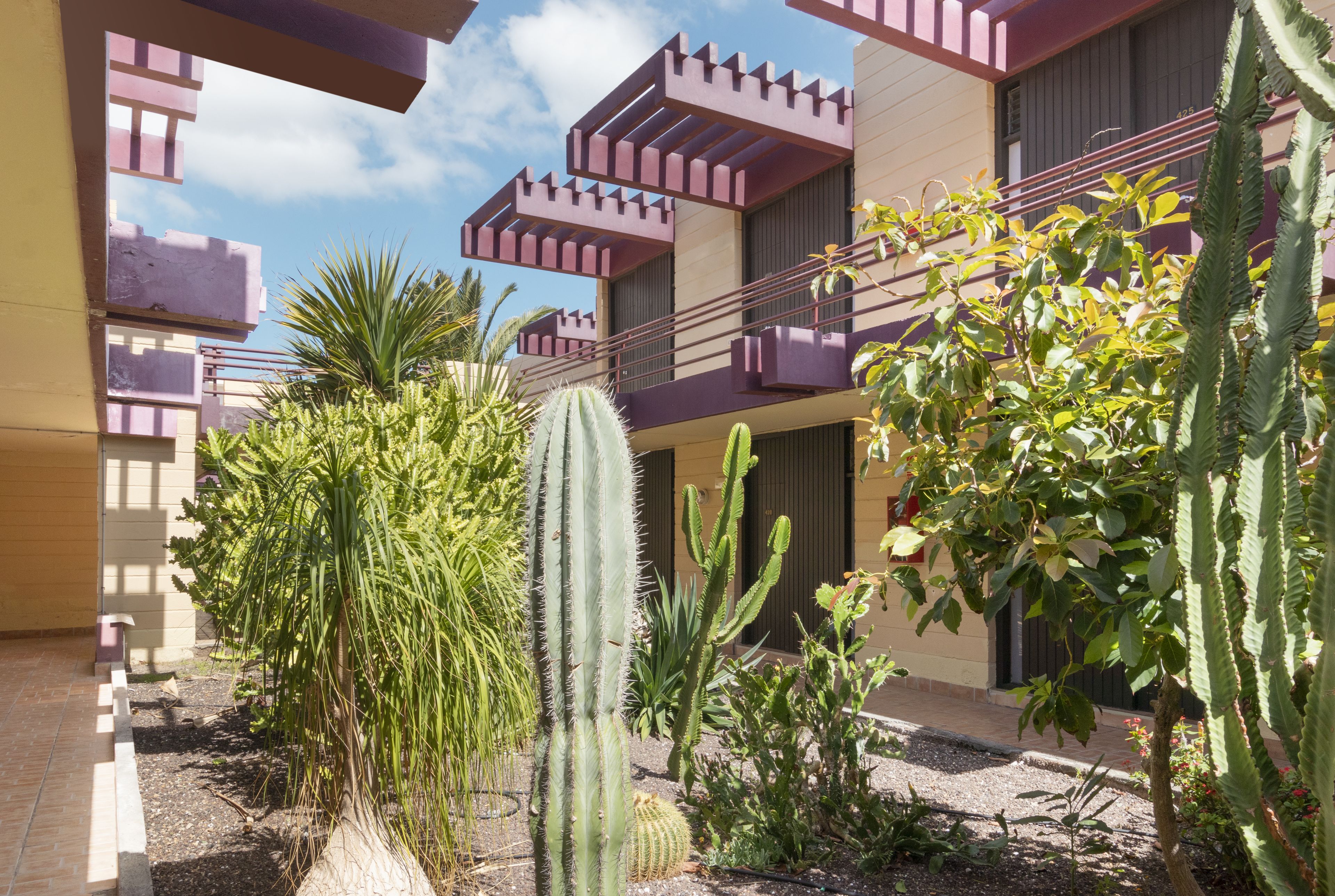 Foto - Hotel Palia Don Pedro