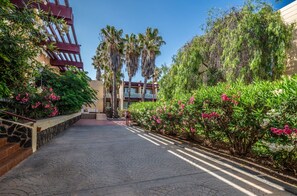 施設からの眺望