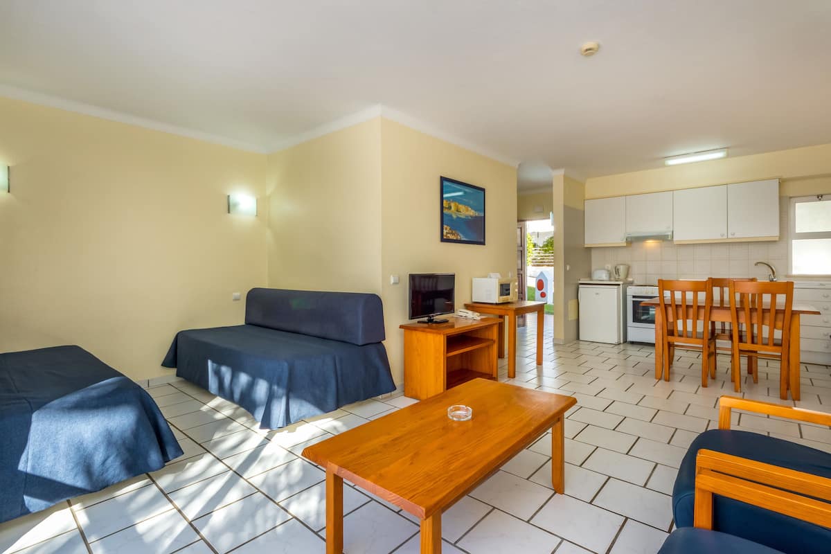 A compact living space with a kitchenette, a sofa, a coffee table, and a TV.