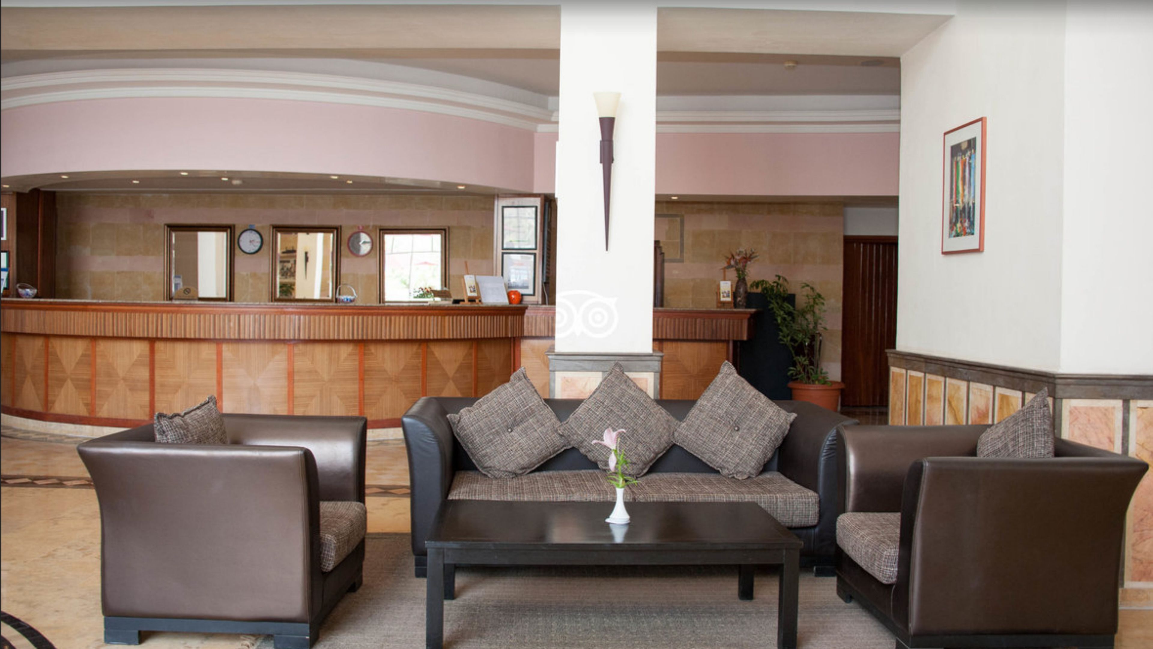 Foto - Medina Solaria And Thalasso