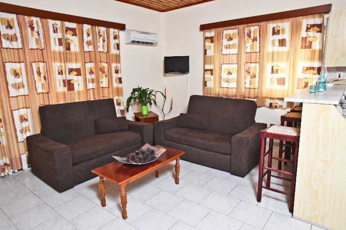 A living room with two sofas, a coffee table, a TV, and a kitchen area with a bar stool.