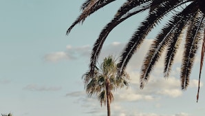 A resort with palm trees, a pool, and a view of the ocean. - La Isla y el Mar Hotel Boutique - Adults Only (Tías)