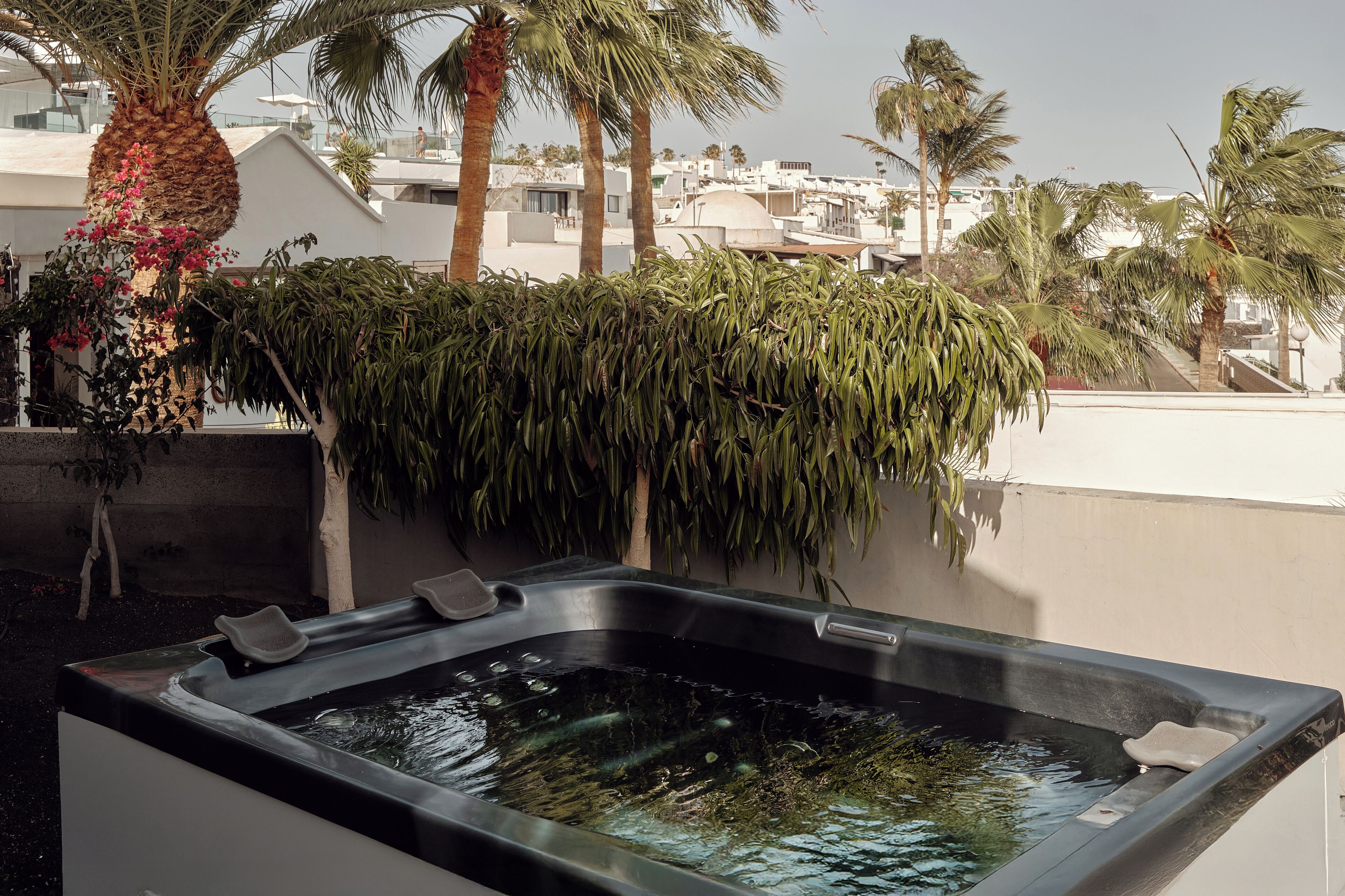 Un jacuzzi con vista a una zona residencial, palmeras y un edificio de fachada blanca.
