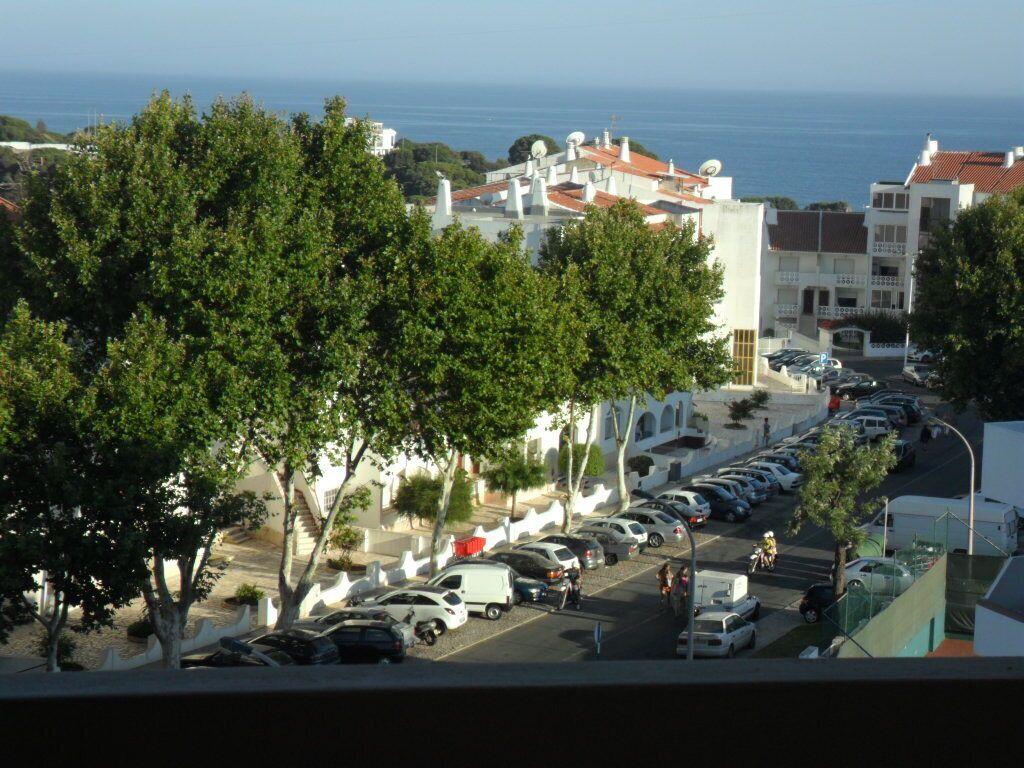 A coastal street with parked cars and buildings, trees, and a view of the sea.