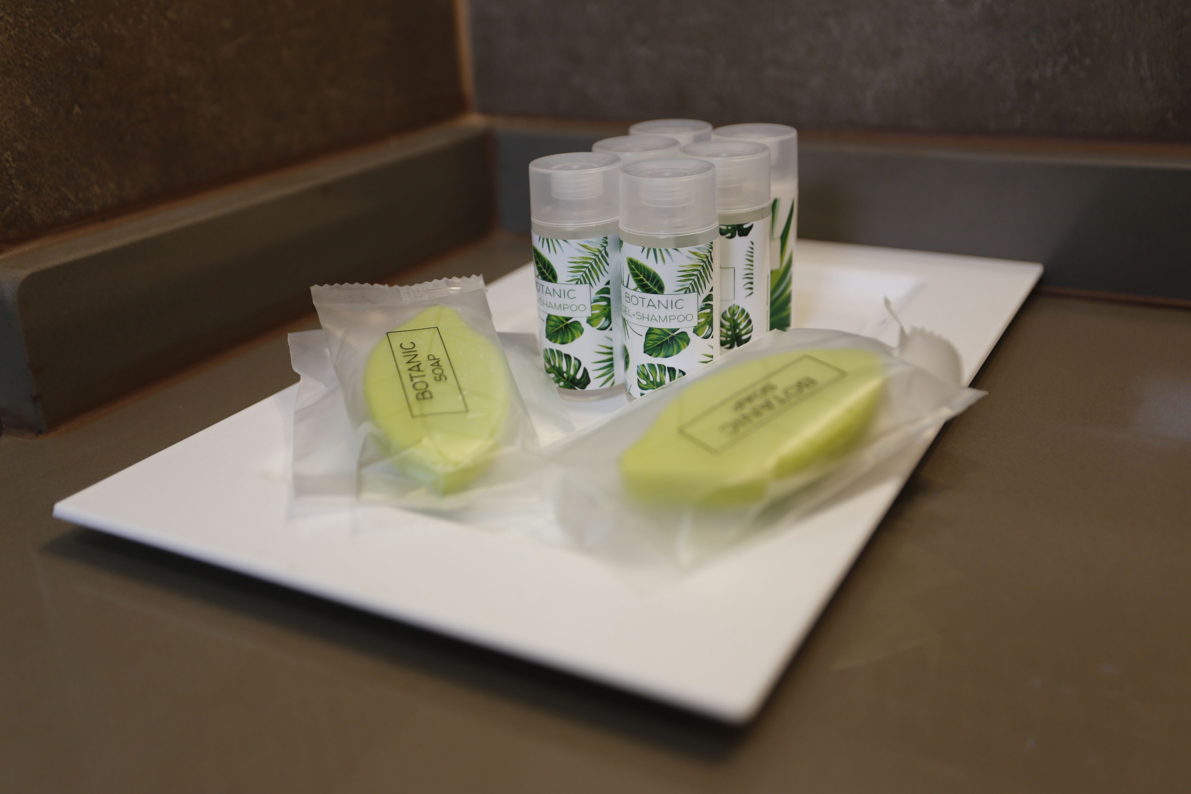 A white tray with three bottles of 'Botanic Shampoo' and two bars of 'Botanic Soap' on a countertop.