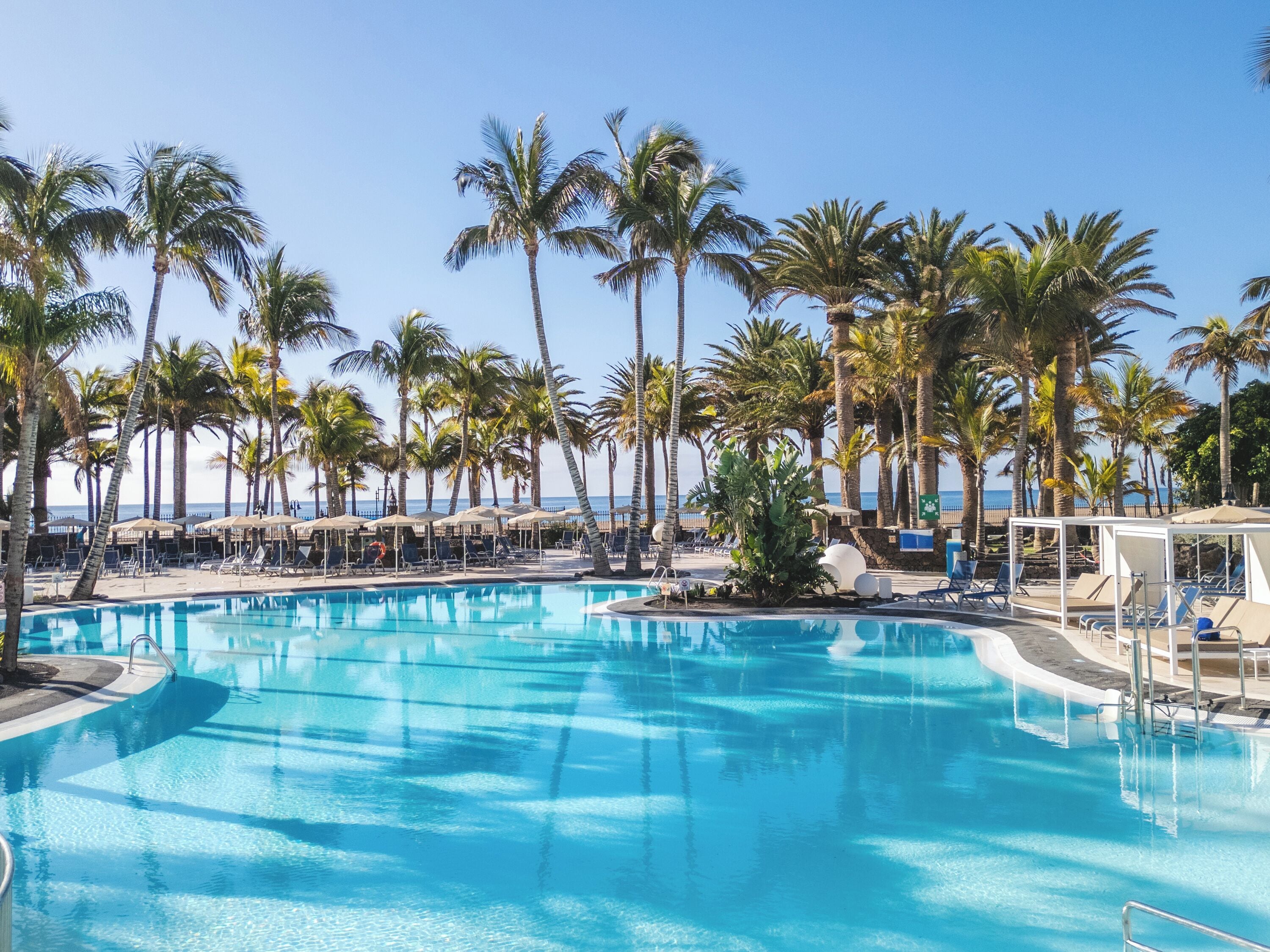 outdoor pool, pool loungers