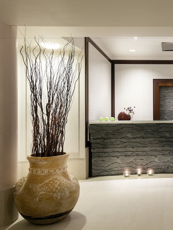 Sauna, Turkish bath/hammam, body treatments, hydrotherapy, aromatherapy