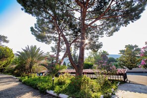 Garden - Pigale Beach Resort (Kusadasi)