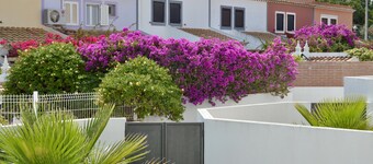 Mouraliz Apartmentos