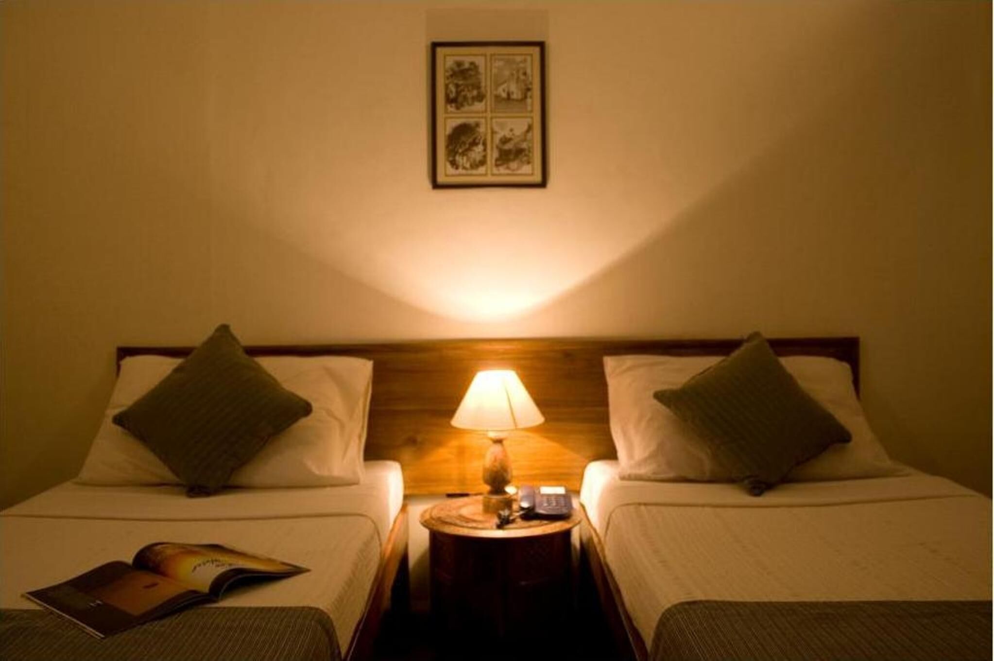 Premium bedding, blackout drapes, iron/ironing board, rollaway beds