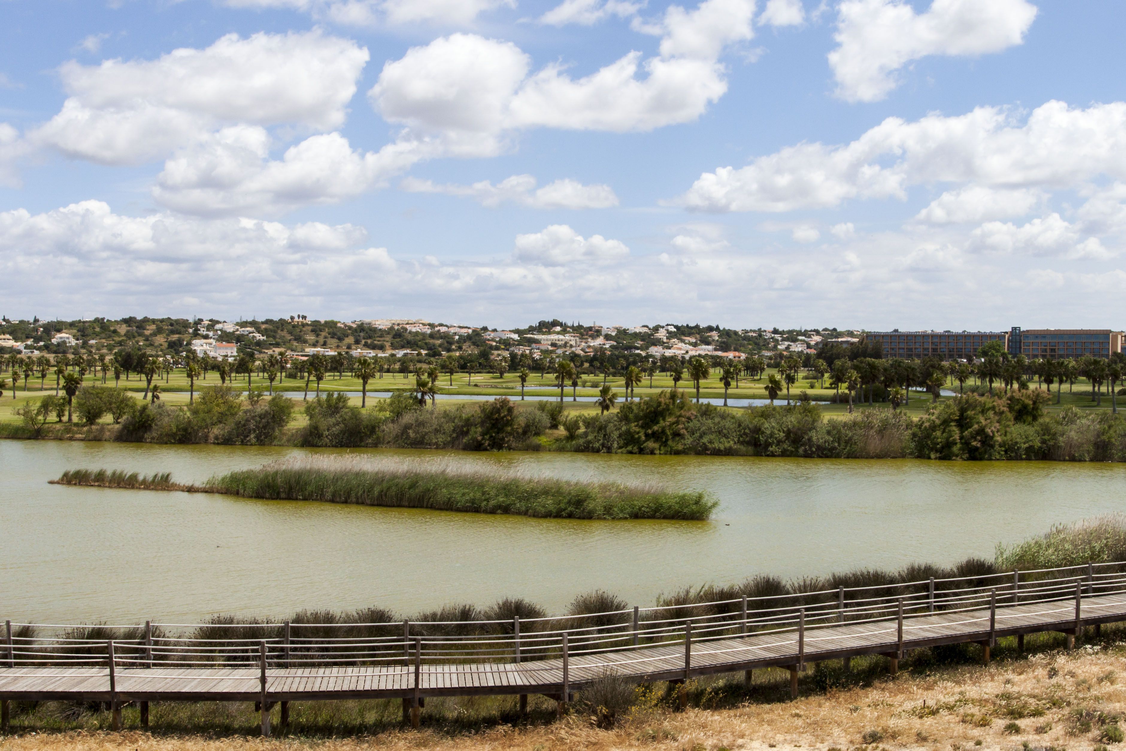 A wooden boardwalk leading to a lake with a view of a residential area in the background.