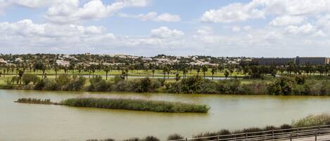 A wooden boardwalk leading to a lake with a view of a residential area in the background.