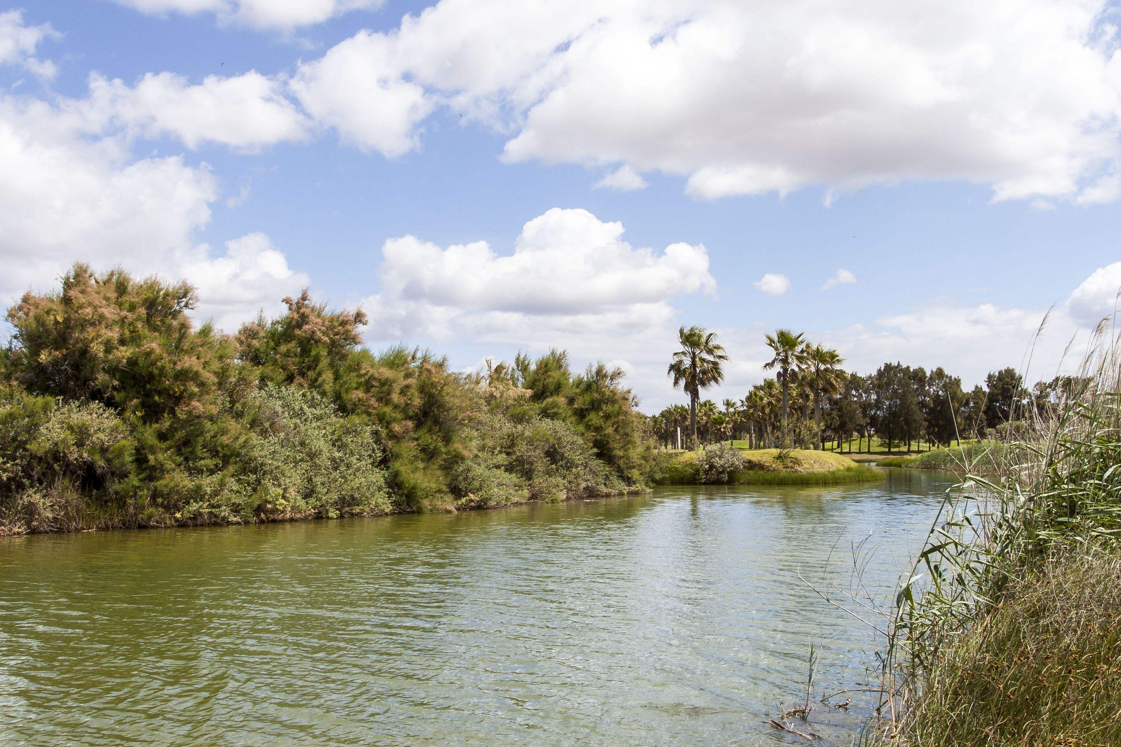 Foto - Bayside Salgados