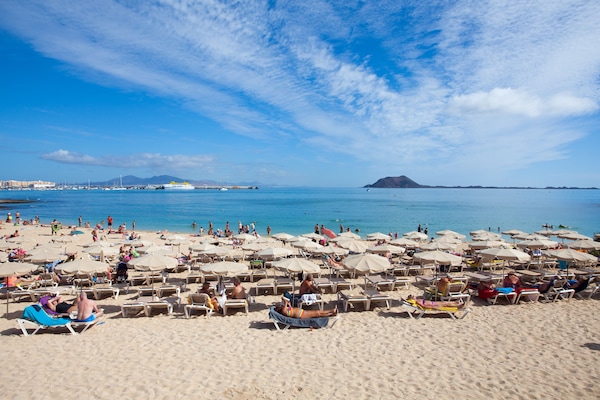 Scuba diving, water skiing, windsurfing, surfing